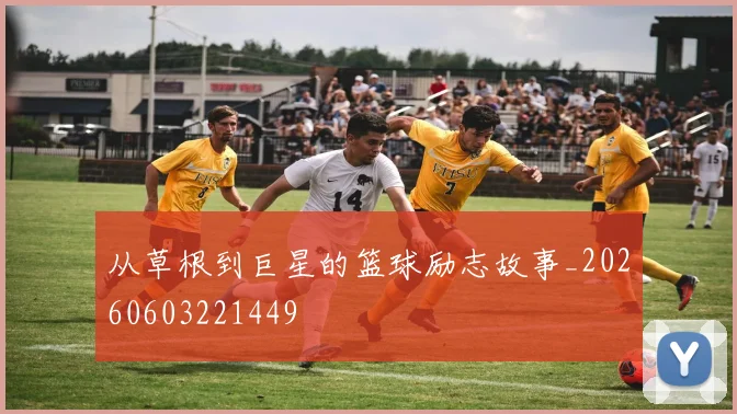 从草根到巨星的篮球励志故事_20260603221449